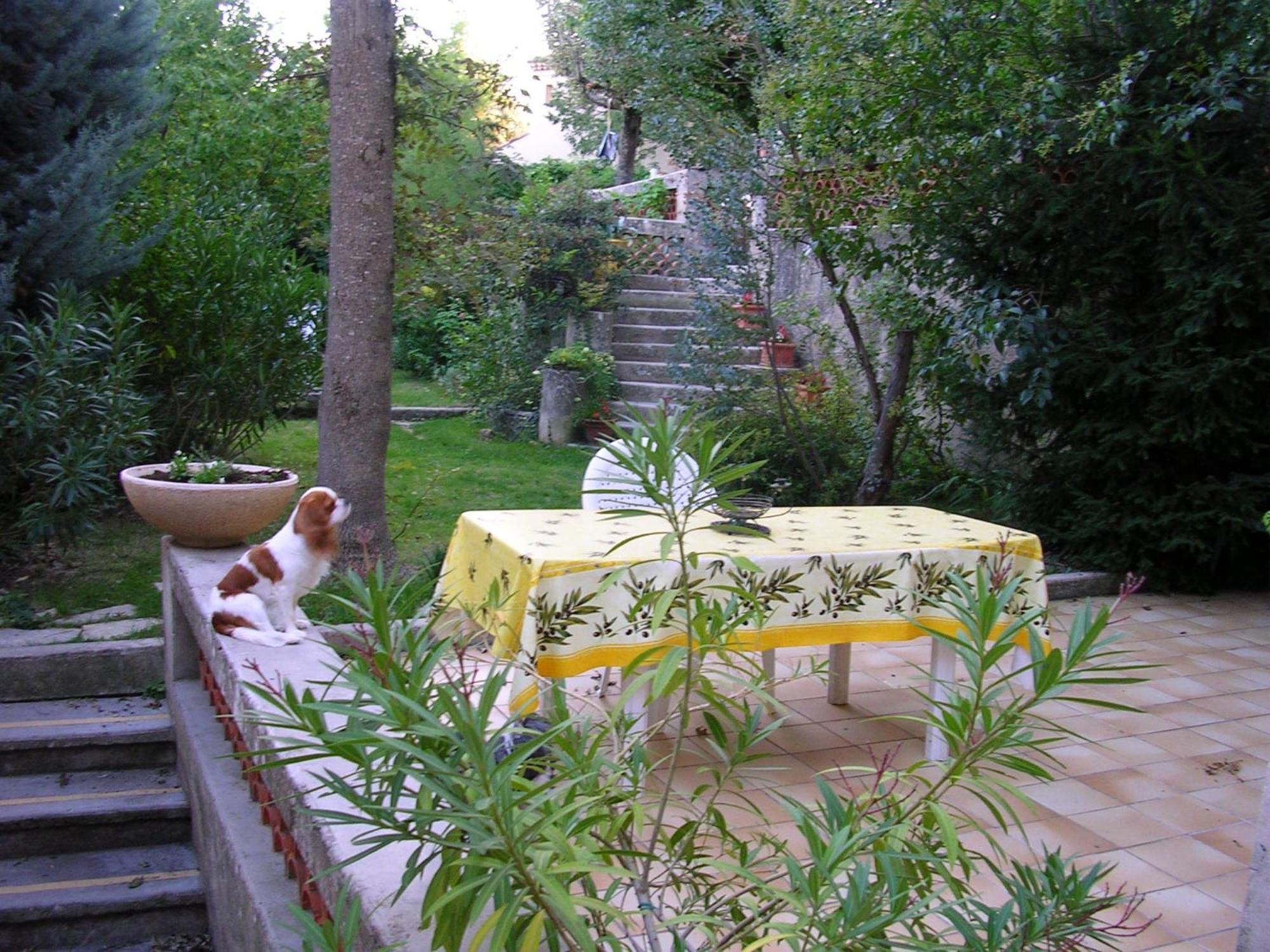 Le Jardin Apartment Greoux-les-Bains Exterior photo
